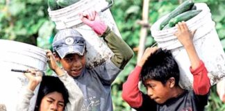 FAO alerta sobre hambre en las montañas del mundo