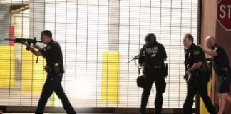 “Los estadounidenses viven en una cultura del miedo”
