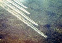 Vietnam aún sufre las secuelas de los defoliantes utilizados por EEUU
