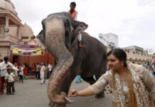 ¿Será India la nueva China?