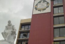 Universidad de Panamá necesita Modelo Ambiental