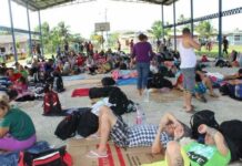 Panamá Y México acuerdan traslado de migrantes cubanos vía aérea