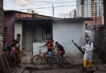 ¿De dónde surgió el Zika? la nueva emergencia mundial