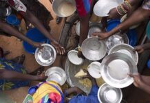 Predicen crisis global de alimentos en el 2030