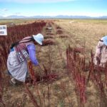 Enfoque mercantil de la biodiversidad preocupa en América Latina