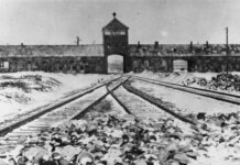 Exposiciones de historia