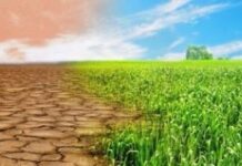El planeta pierde 33.000 hectáreas de tierra fértil por día