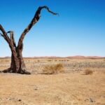 El desierto se traga al territorio africano