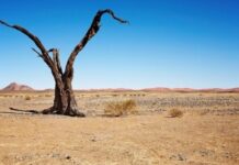 El desierto se traga al territorio africano