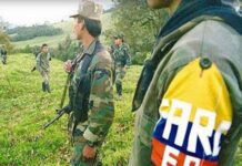 Finalizan visitas a zonas transitorias para las FARC-EP en Colombia