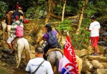 Las garras del cóndor