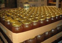 Desafíos del mercado mundial de miel de abeja