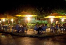 Al rescate de los parques capitalinos