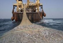 Sobrepesca amenaza a pescadores artesanales