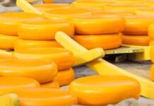 Por qué el gobierno de EE.UU. va a comprar 5 millones de kilos de queso
