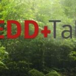 ICIREDD establece sede en Panamá y prepara reunión