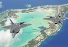 EE.UU. se enfrenta al enemigo que le ha derribado 27 aeronaves militares: las aves