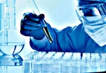 Flores: La universidad y la investigación científica