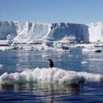 Reserva marina en la Antártida, clave para la humanidad