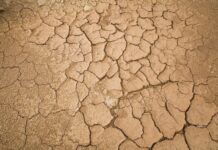 Cambio climático pone en riesgo a pequeños agricultores