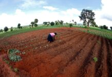 Control suizo sobre la carrera mundial por las tierras fértiles