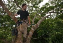 Las conexiones hacen la diferencia en los bosques tropicales