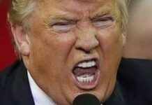 Panamá y Donald Trump