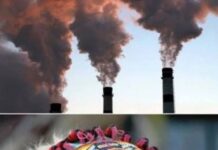 Vendedores de humo