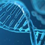 Ártico: el misterio de los pueblos desaparecidos