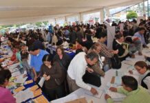 Aumenta desempleo y afecta a más jóvenes en Panamá