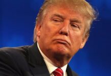 Miembros del Colegio Electoral tienen un mensaje para Trump: “Está despedido”