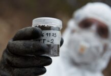 Fukushima: el gobierno permite que los evacuados regresen, pero las áreas siguen contaminadas