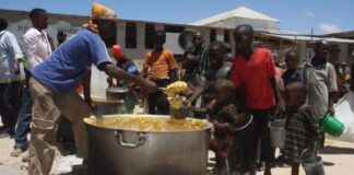 20 millones de personas en riesgo de inanición necesitan alimentos, no bombas
