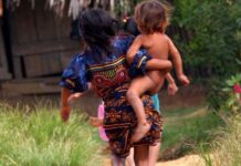 Panamá estudia componentes nutricionales de los alimentos