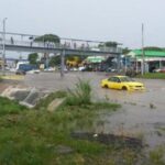 Resurgen amenazas de inundación por destrucción de manglares en Panamá