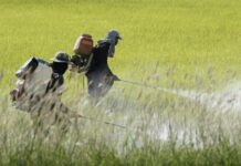 Suiza expone a poblaciones enteras a productos tóxicos