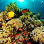 Una caminata espacial desde nuestra comarca