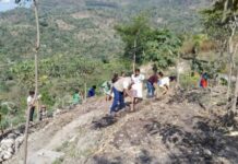 América Latina es la región más desigual en la distribución de la tierra