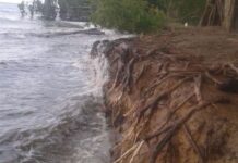 Cambio climático ya alteró la geografía del Caribe hondureño