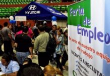 Empleo y Universidad: entre la independencia y el sometimiento