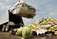 América Latina y el Caribe proponen código internacional de conducta alimentario