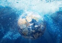 La UNESCO hace el primer inventario del estado de las ciencias oceánicas en el mundo