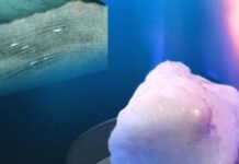 100 litros de hielo combustible recorren 50.000 kilómetros