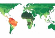 El mapa mundial de peligros para la salud en el que América Latina aparece en rojo