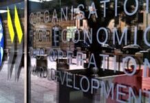 OCDE: No son los impuestos son los salarios, ¡Estúpidos!
