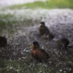 La NASA advierte: El futuro de la Tierra podría ser más lluvioso de lo esperado