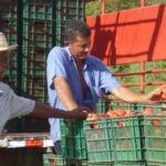 Claves para una audaz política agropecuaria y rural están en el Desarrollo Económico Local