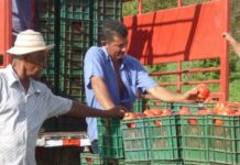 Claves para una audaz política agropecuaria y rural están en el Desarrollo Económico Local