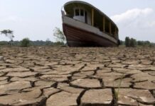 La gestión política del agua, principal responsable de la sequía