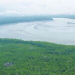 Evitemos un derrame de combustible en la Bahía de Panamá ¡No al oleoducto!